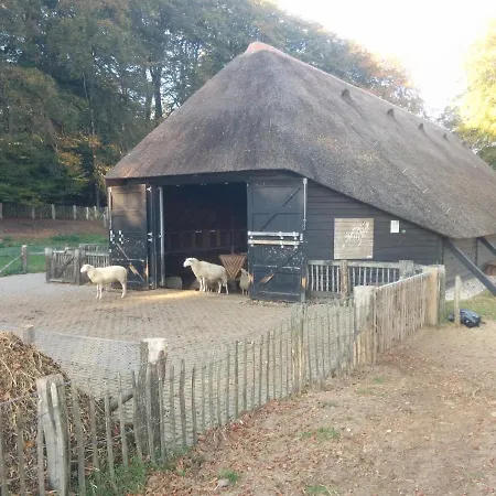 Chalet Hoenderloo Beuk Exterior photo