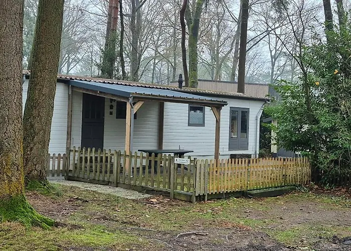 Chalet Hoenderloo Beuk